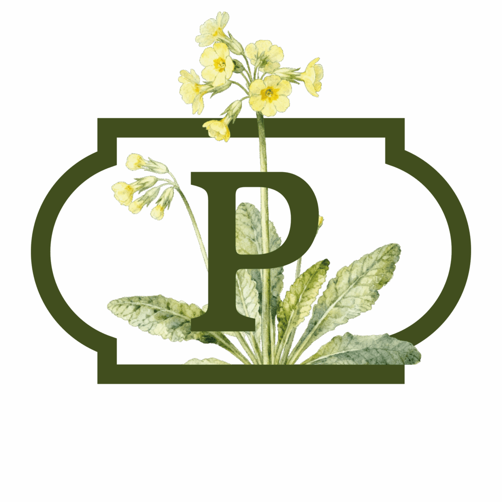 PRIMULA