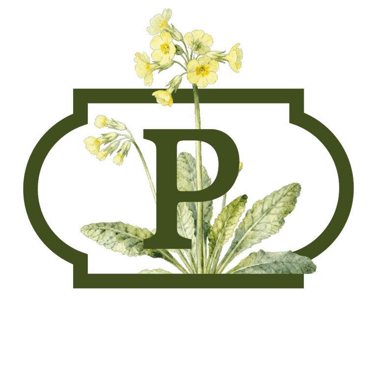 PRIMULA