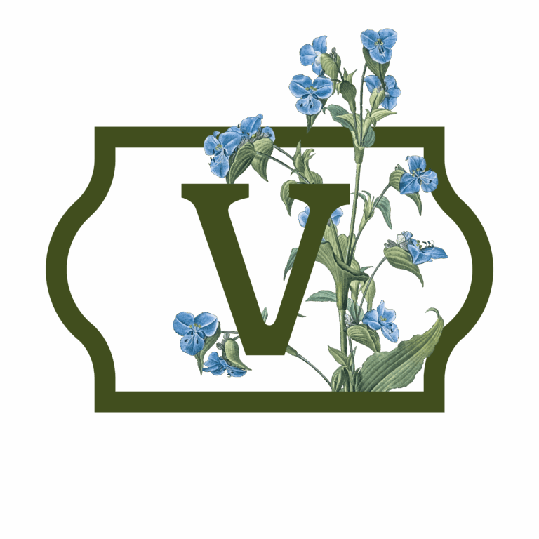 VERONICA
